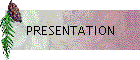 PRESENTATION