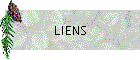 LIENS