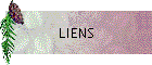 LIENS