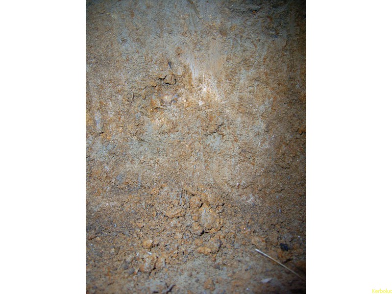 R0019015